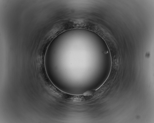 X0000098090756200804041219