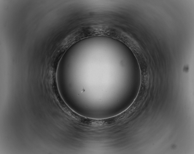 X0000098090757200804041219
