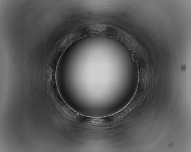 X0000098090758200804041219