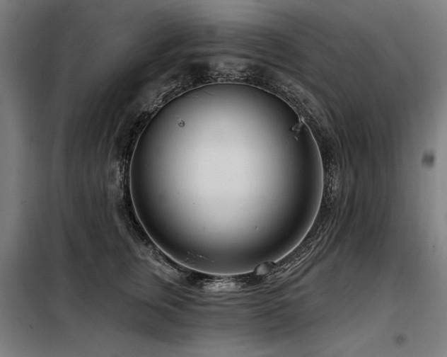 X0000098090759200804041219