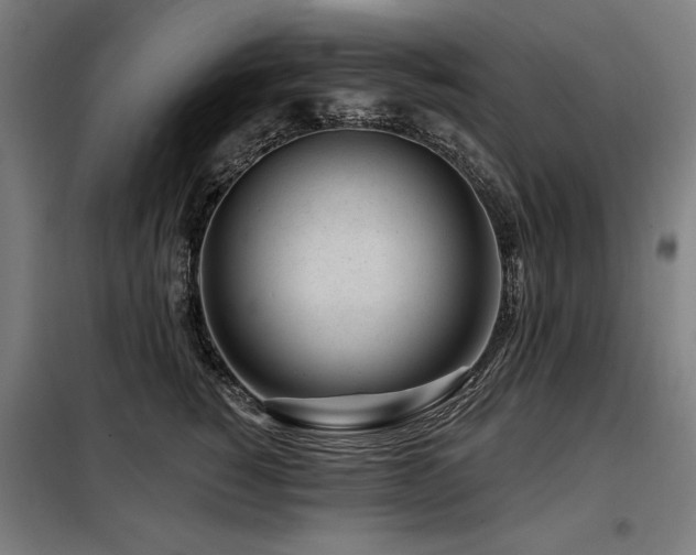 X0000098090760200804041219