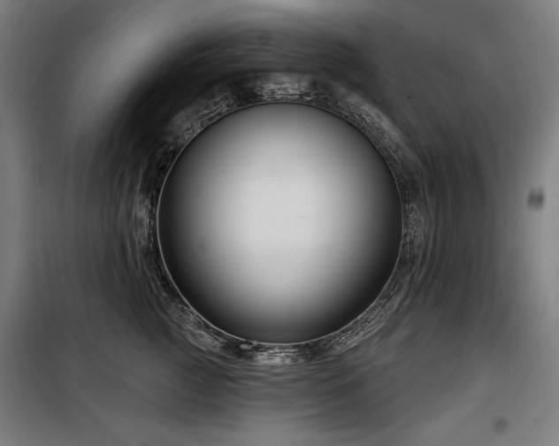 X0000098090761200804041219