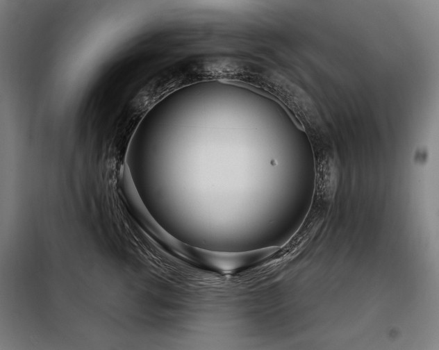 X0000098090762200804041219