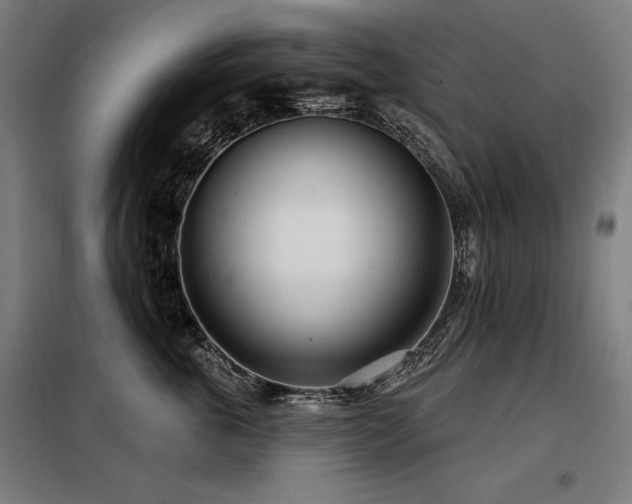 X0000098090763200804041219