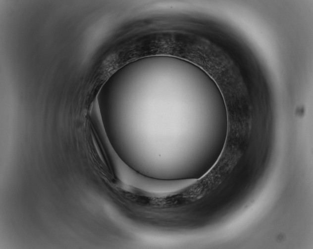 X0000098090766200804041220