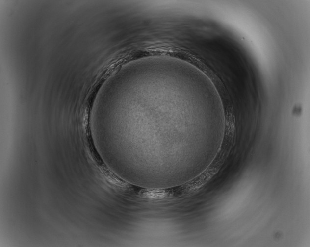 X0000098090767200804041220