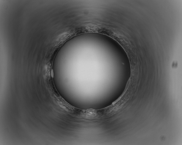 X0000098090768200804041220