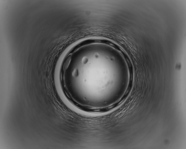 X0000098090769200804041219