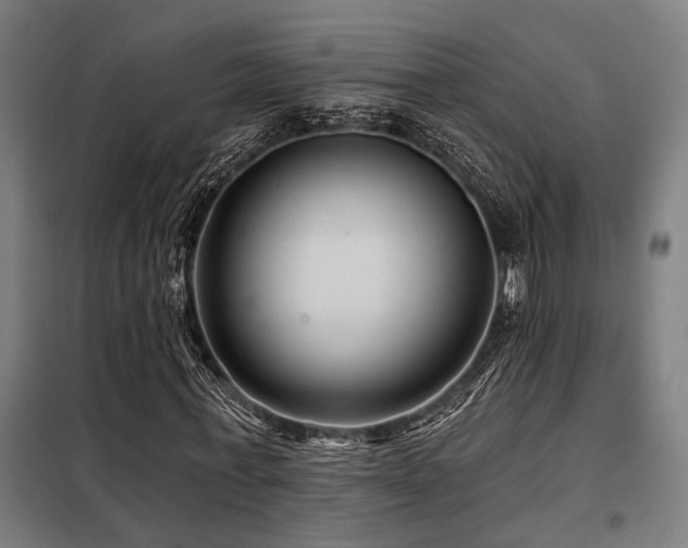 X0000098090771200804041219