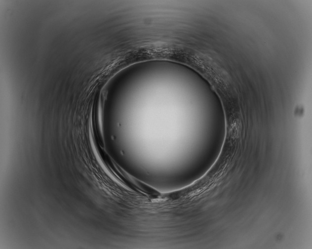 X0000098090772200804041219