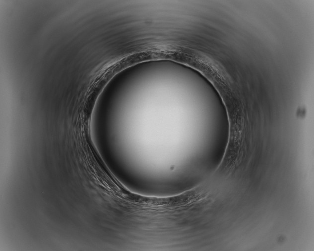 X0000098090773200804041219