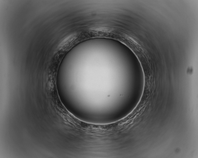X0000098090774200804041219