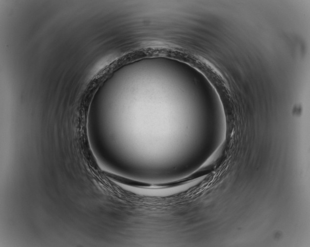 X0000098090775200804041219