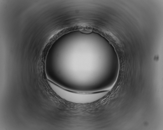 X0000098090776200804041219