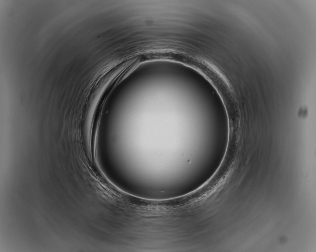 X0000098090777200804041219