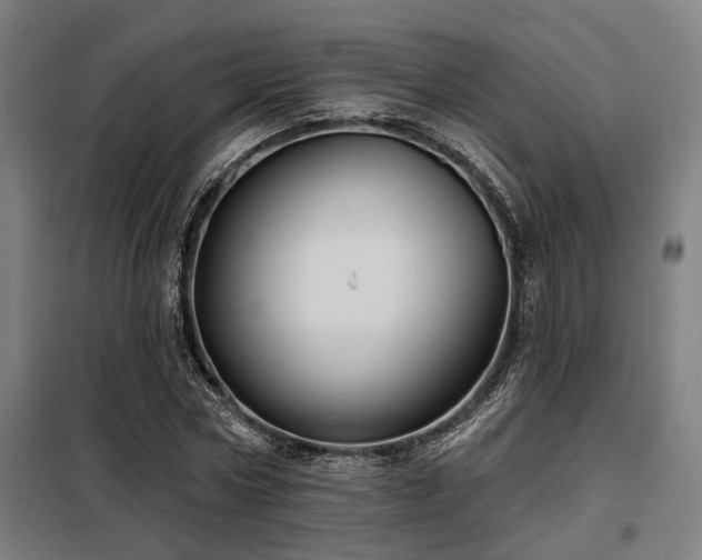X0000098090778200804041219
