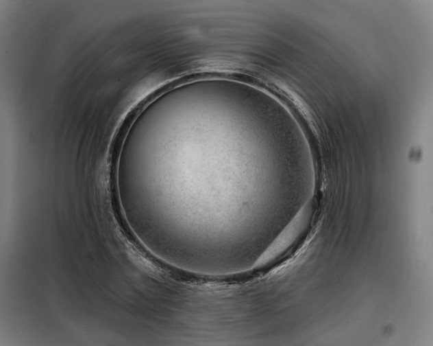 X0000098090779200804041219