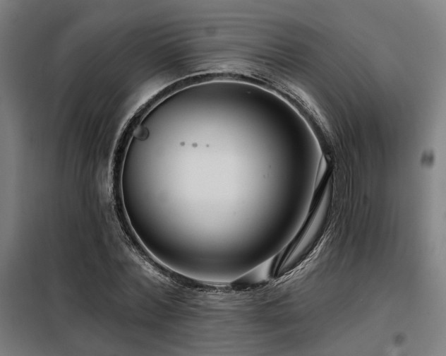 X0000098090780200804041219