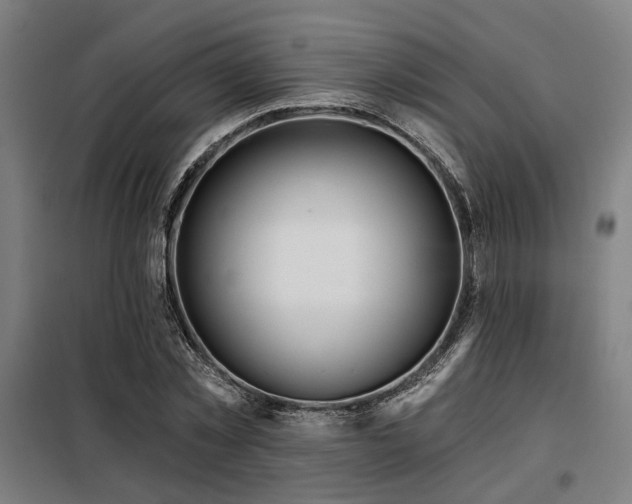 X0000098090781200804041219