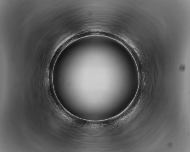 X0000098090782200804041219