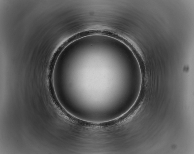 X0000098090783200804041219