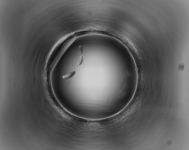 X0000098090784200804041219