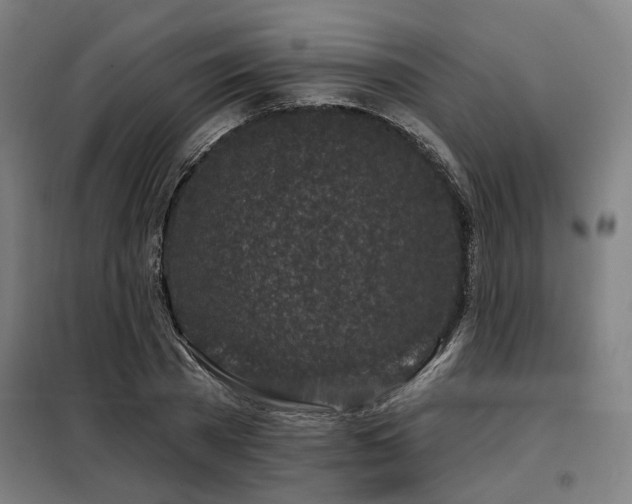 X0000098090785200804041219