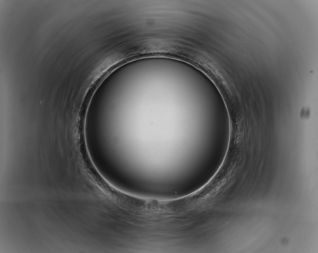 X0000098090786200804041219