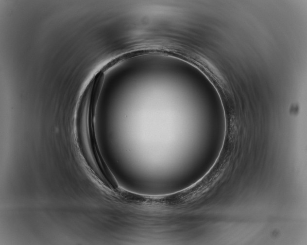 X0000098090788200804041219