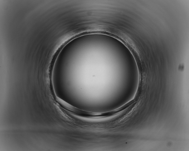 X0000098090789200804041219