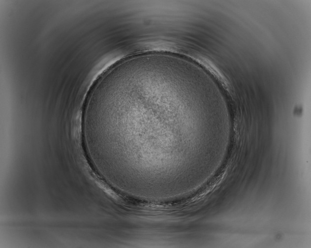 X0000098090790200804041219