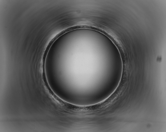 X0000098090791200804041219