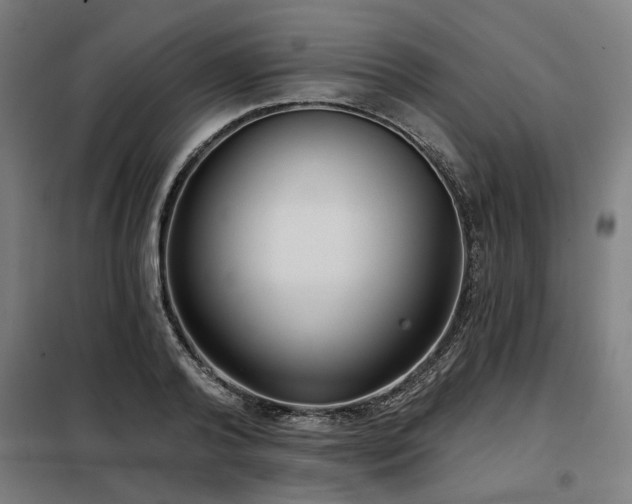 X0000098090792200804041219