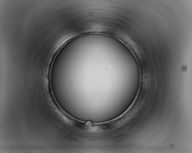 X0000098090794200804041219