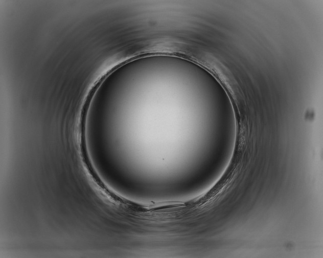 X0000098090795200804041219