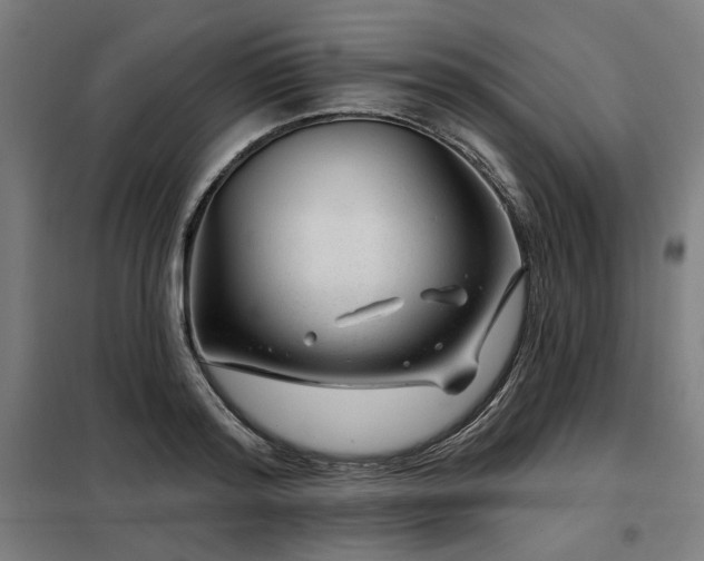 X0000098090796200804041219