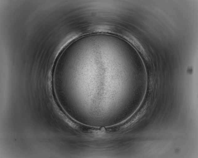 X0000098090798200804041218