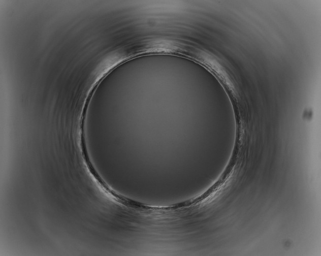 X0000098090802200804041218