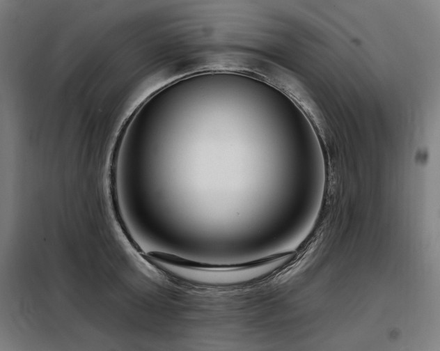 X0000098090803200804041218
