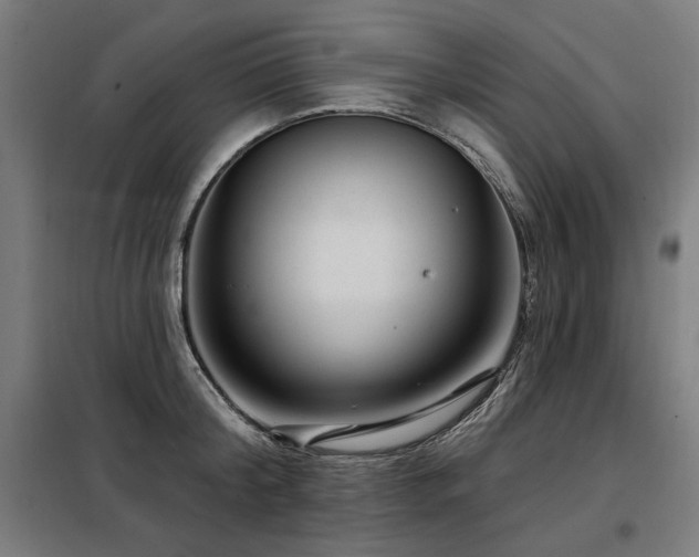 X0000098090804200804041218