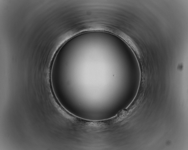 X0000098090805200804041218