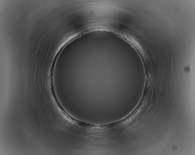 X0000098090806200804041218