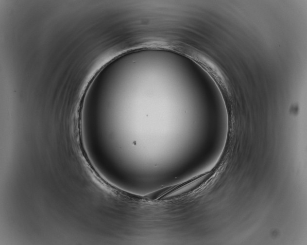 X0000098090808200804041218