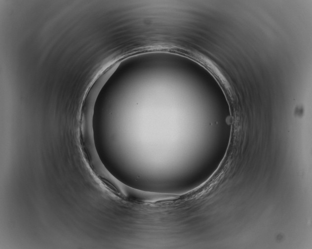 X0000098090810200804041218
