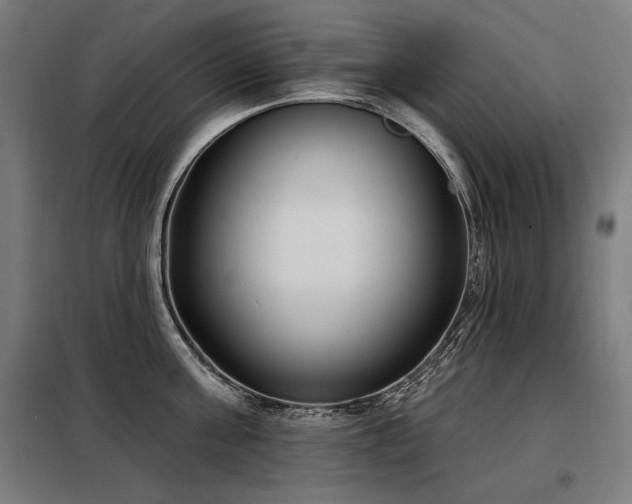 X0000098090811200804041218