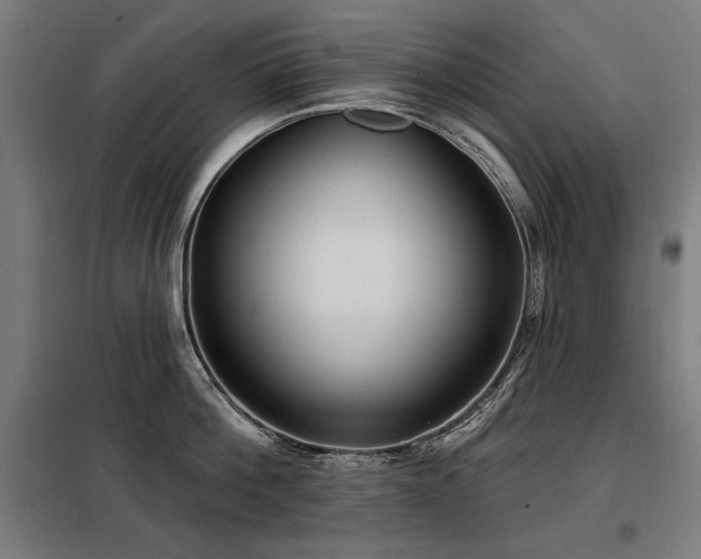 X0000098090812200804041218