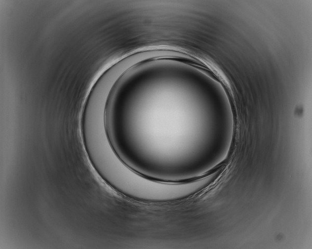 X0000098090813200804041218