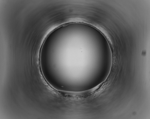 X0000098090815200804041218