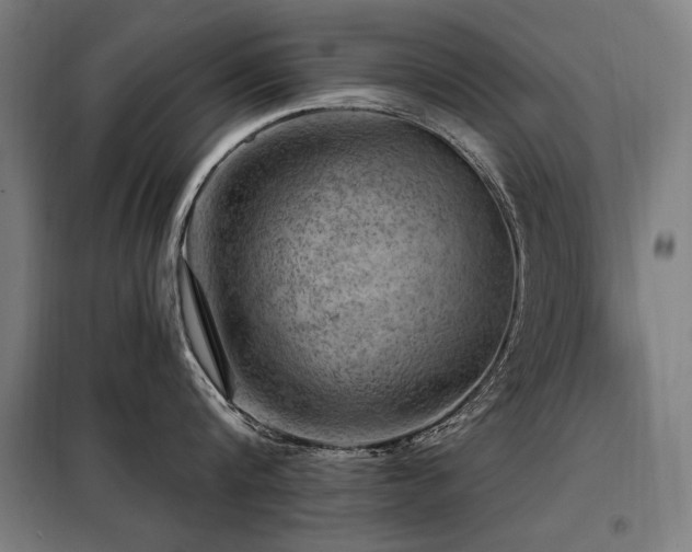 X0000098090816200804041218