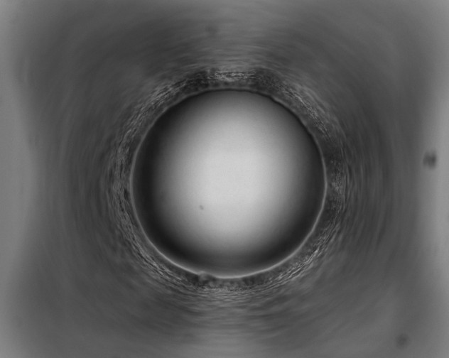 X0000098090817200804041218